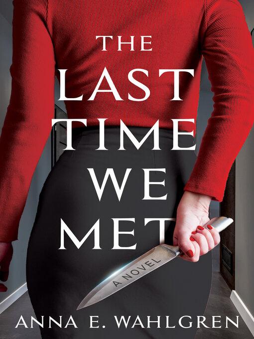 Title details for The Last Time We Met by Anna E. Wahlgren - Available